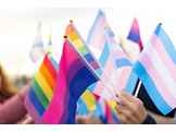 Pride Flags